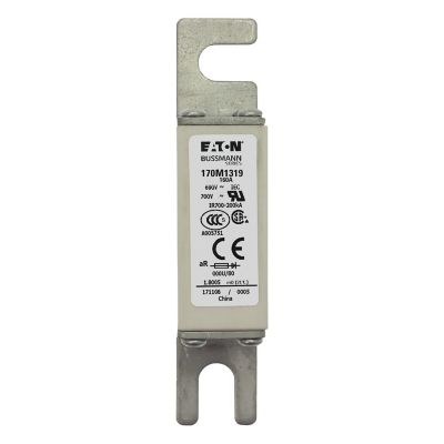 170M1319 - Bussmann 系列快速方体熔断器