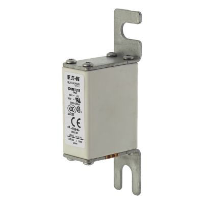 170M1319 - Bussmann 系列快速方体熔断器