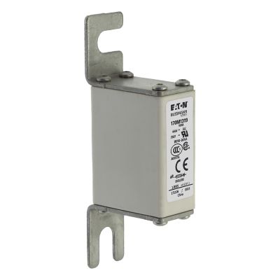 170M1319 - Bussmann 系列快速方体熔断器