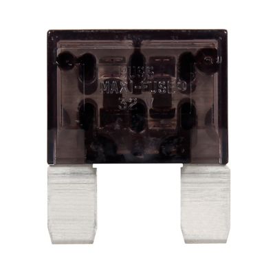 MAX-25 - Fusibles Maxi hembra