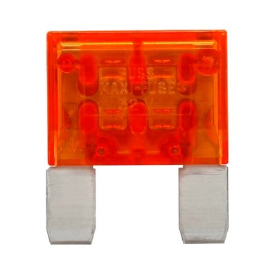 BK/MAX-40 - Female MAXI fuses
