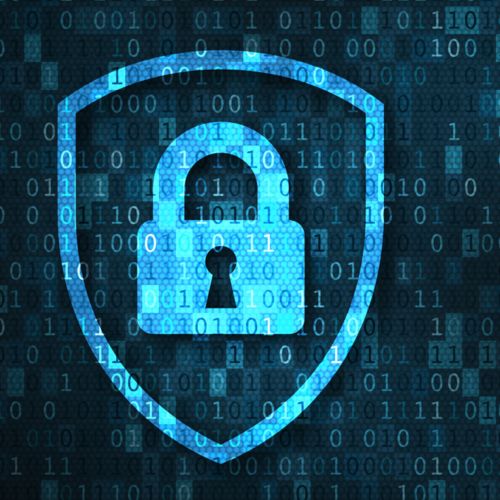 사이버 보안 서비스